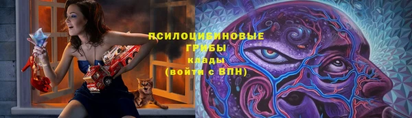 дживик Алзамай