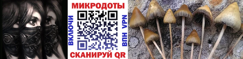 mega зеркало  Бодайбо  Псилоцибиновые грибы прущие грибы 